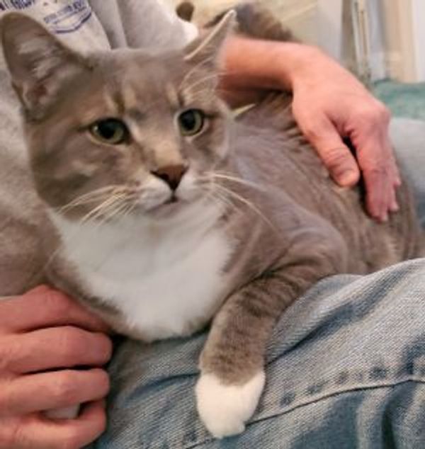 Miracle House Animal Rescue